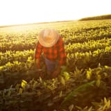 image for Agricultural Worker