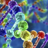 image for Genetic Counselor