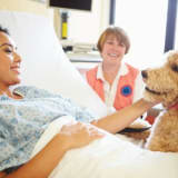 image for Animal Assisted Therapist