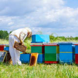 image for Beekeeper